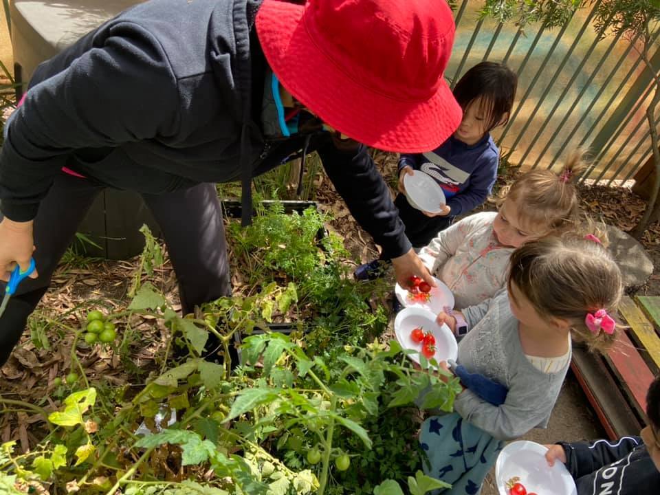 Kids on Gallaghers Child Care Centre